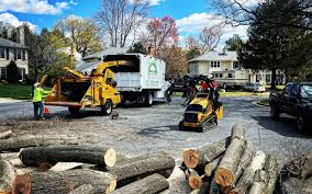 Best Emergency Tree Removal  in Hewitt, NJ