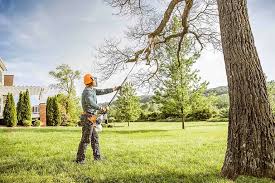 Hewitt, NJ Tree Removal Pros
