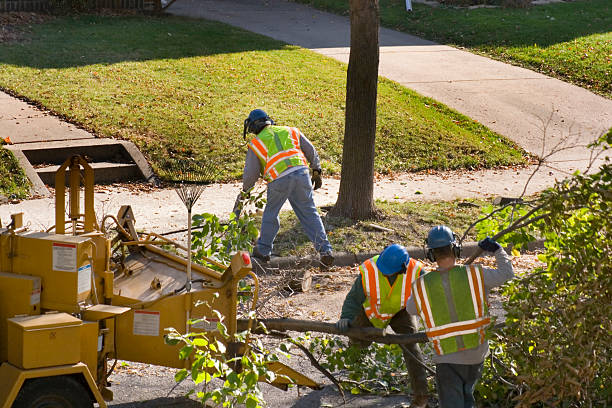 Best Utility Line Clearance  in Hewitt, NJ